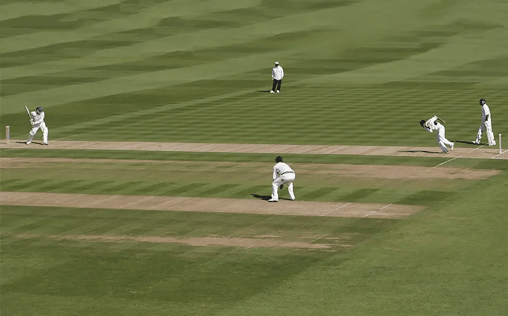 Players playing test cricket