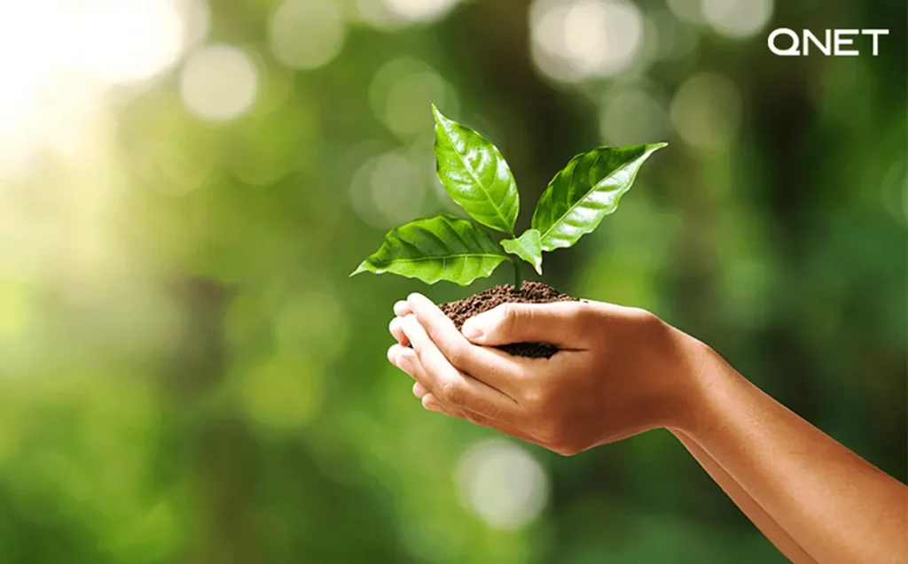 A sapling held in the air with QNET India logo in the frame