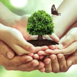 Depiction of a family protecting a small tree on World Environment Day.
