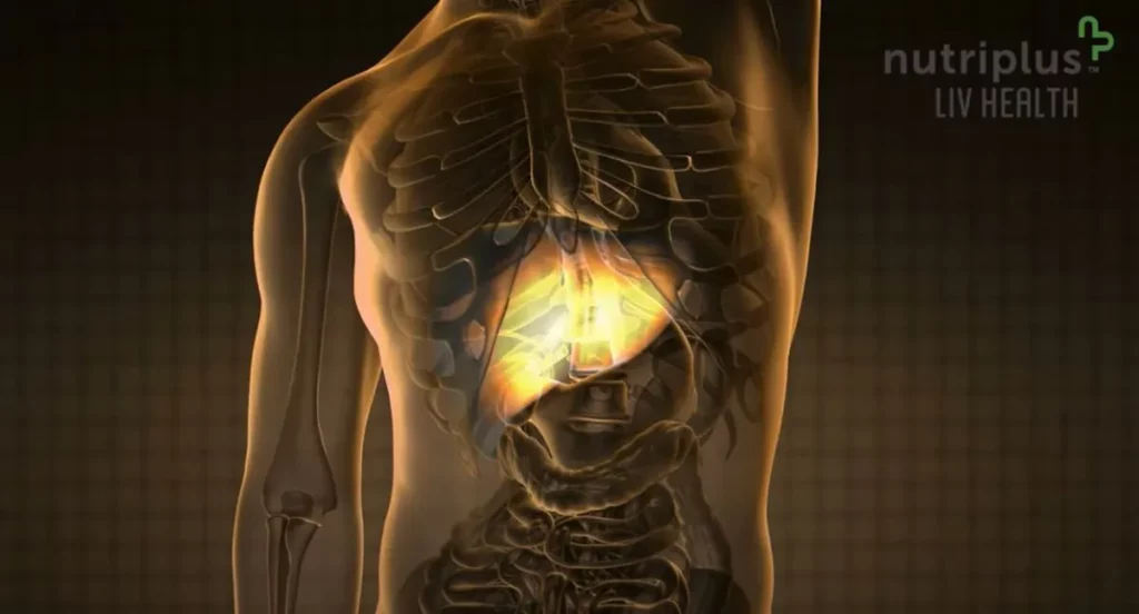 Nutriplus LIvHealth by QNET