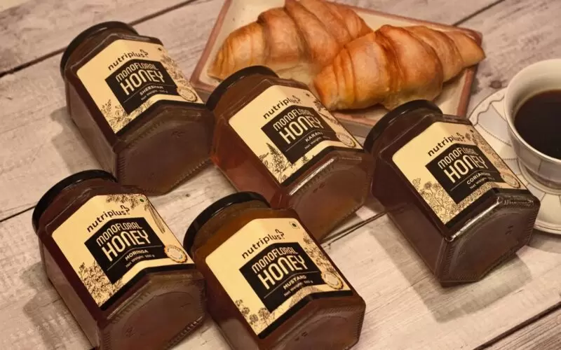 Nutriplus Monofloral Honey for low-calorie breakfast
